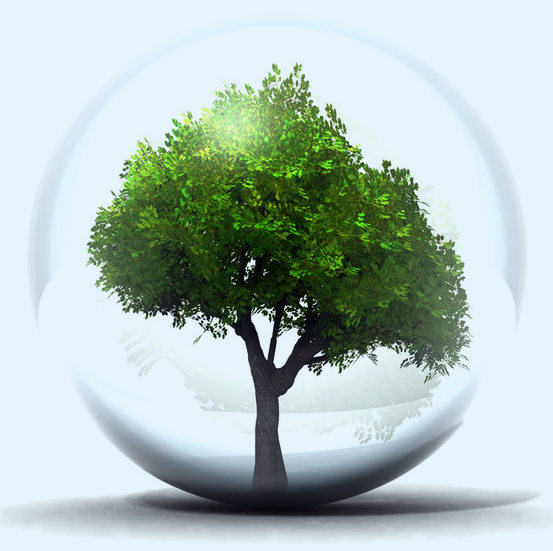 click here tree in bubble