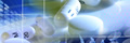 pills close-up